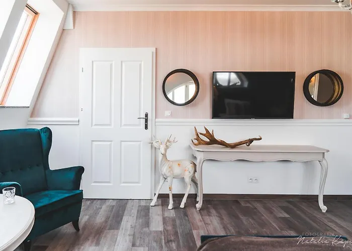 فندق مبيت وإفطار Palac Rajkowo 4*