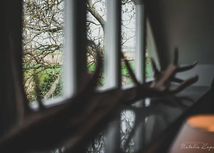 فندق مبيت وإفطار Palac Rajkowo 4*