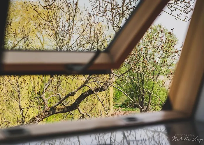 فندق مبيت وإفطار Palac Rajkowo 4*