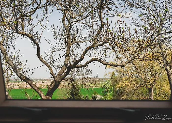 فندق مبيت وإفطار Palac Rajkowo شتشيتسين